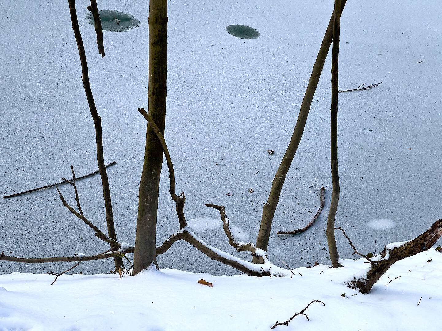 Waldpark I