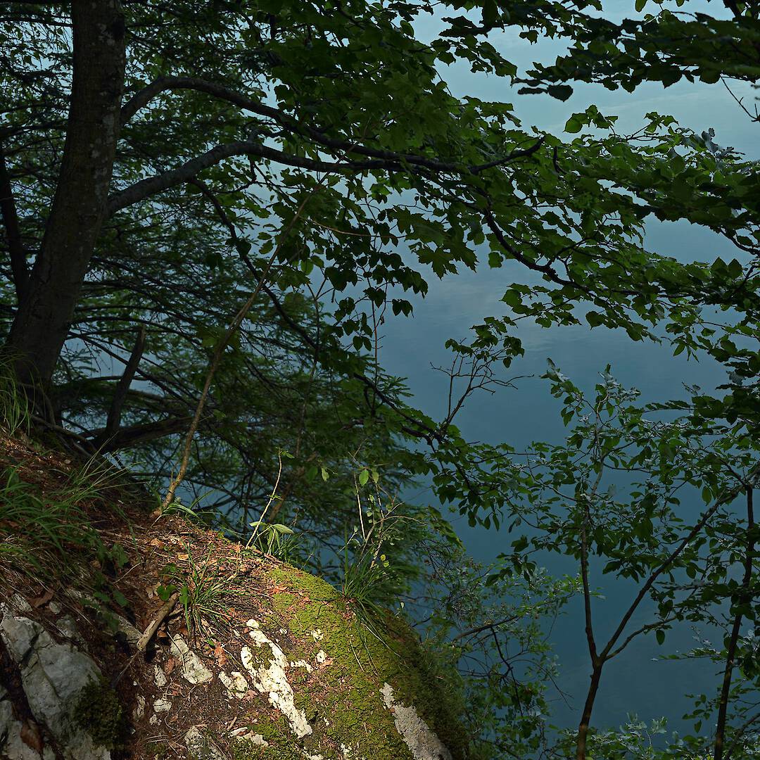 Kochelsee II